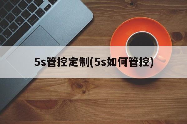 5s管控定制(5s如何管控)